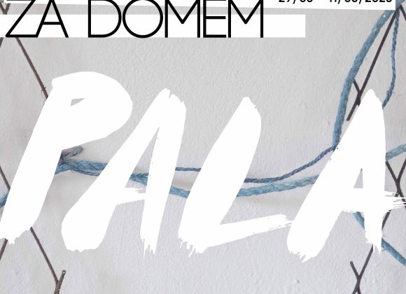 Darek Pala / OGRÓD ZA DOMEM